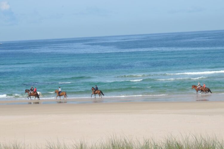 PASEA GALICIA POR TIERRA Y MAR PASEA GALICIA POR TIERRA Y MAR
