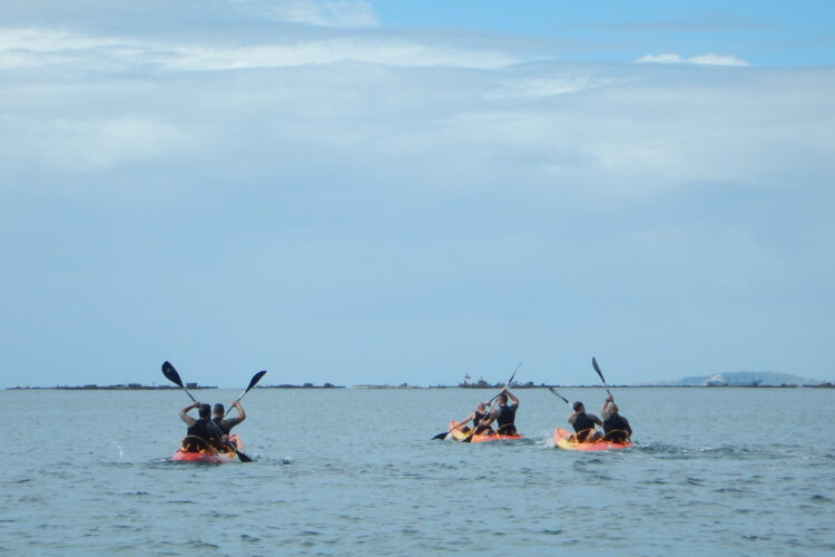 KAYAK KAYAK